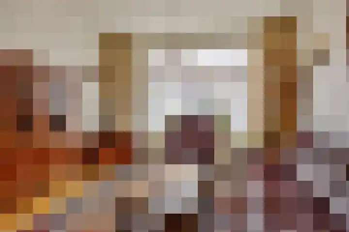 Noteboomstraat 47 Zwolle thumbnail 4