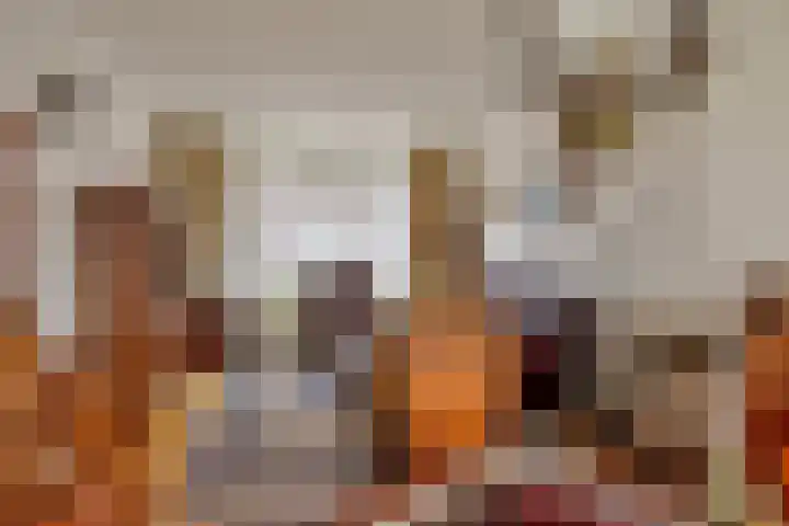 Noteboomstraat 47 Zwolle thumbnail 8