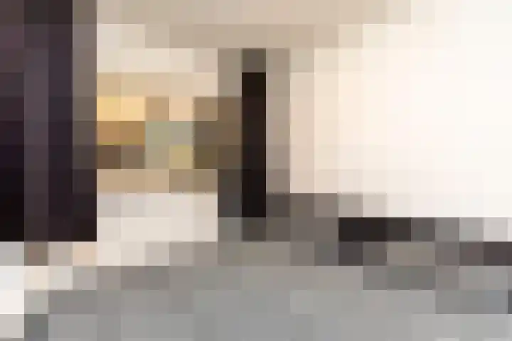 Noteboomstraat 51 Zwijndrecht thumbnail 17