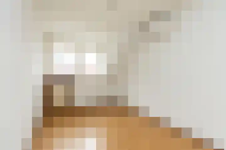 Noteboomstraat 51 Zwijndrecht thumbnail 30