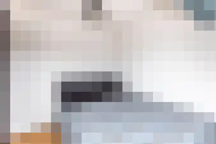 Noteboomstraat 51 Zwijndrecht thumbnail 33