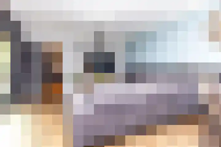 Noteboomstraat 51 Zwijndrecht thumbnail 8
