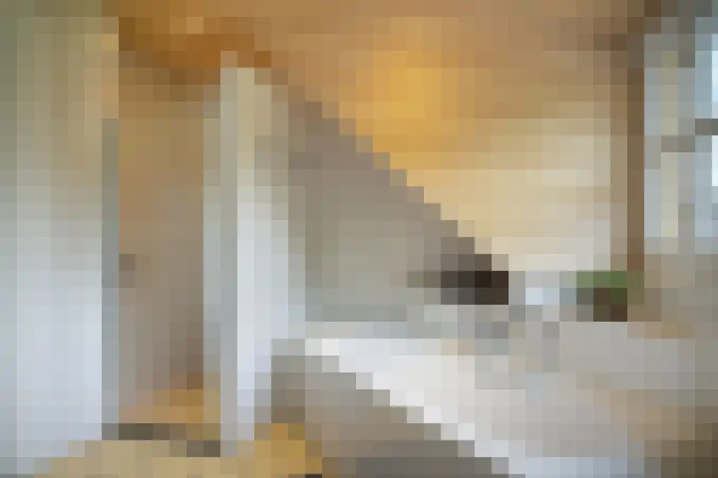 Notel 54 A Oirschot thumbnail 42
