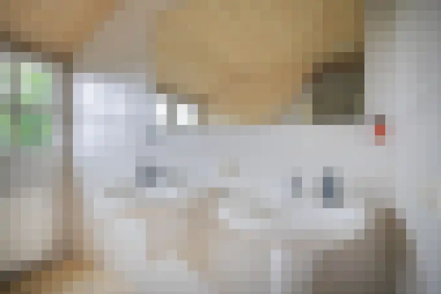 Notel 54 A Oirschot thumbnail 43