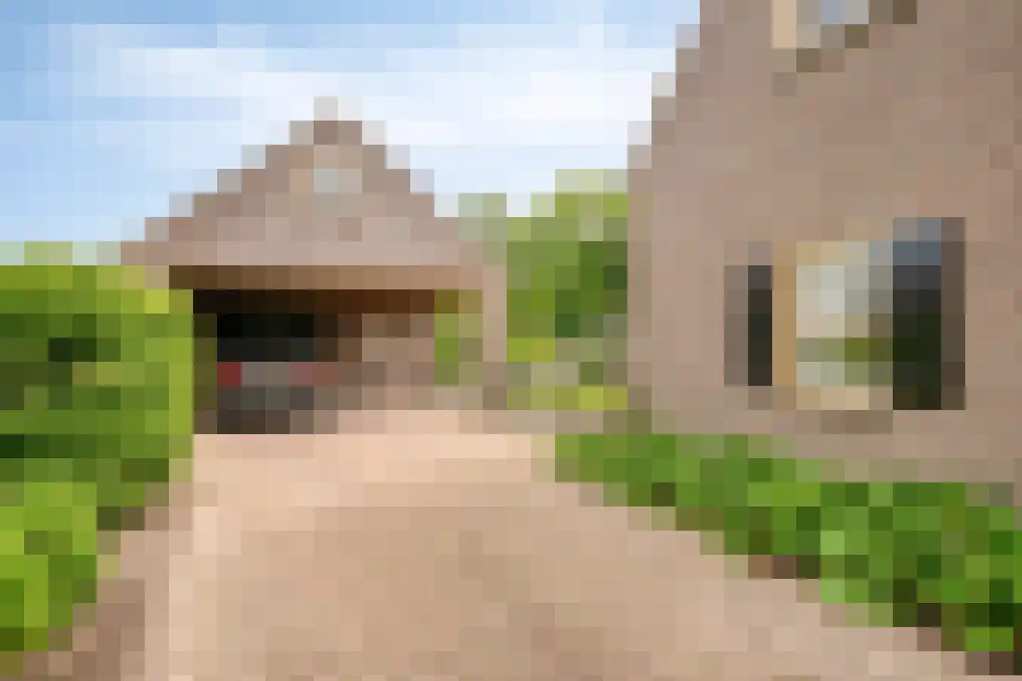 Notel 54 A Oirschot thumbnail 57
