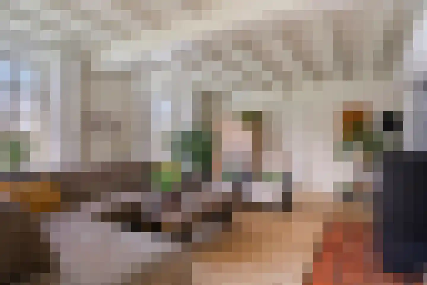 Notel 60 Oirschot thumbnail 10