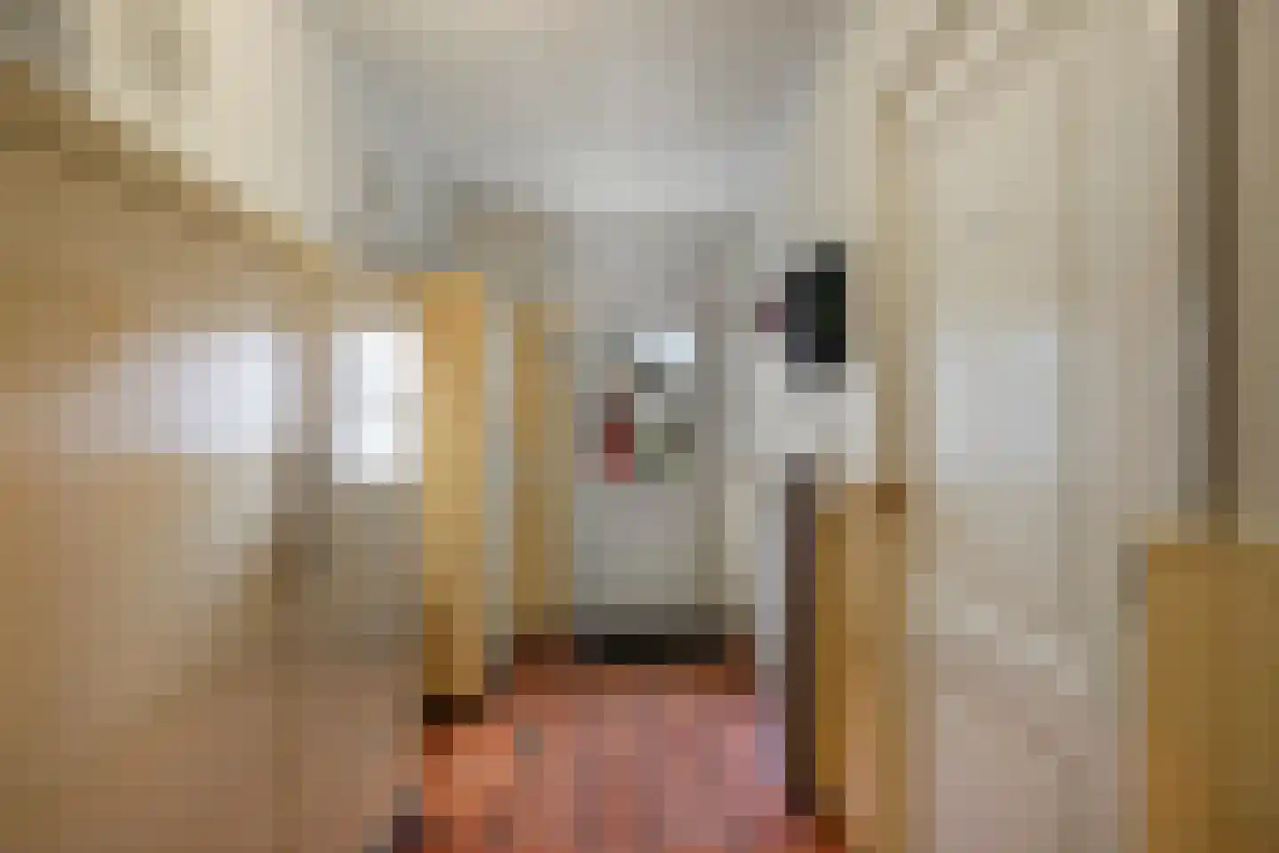 Notel 60 Oirschot thumbnail 24