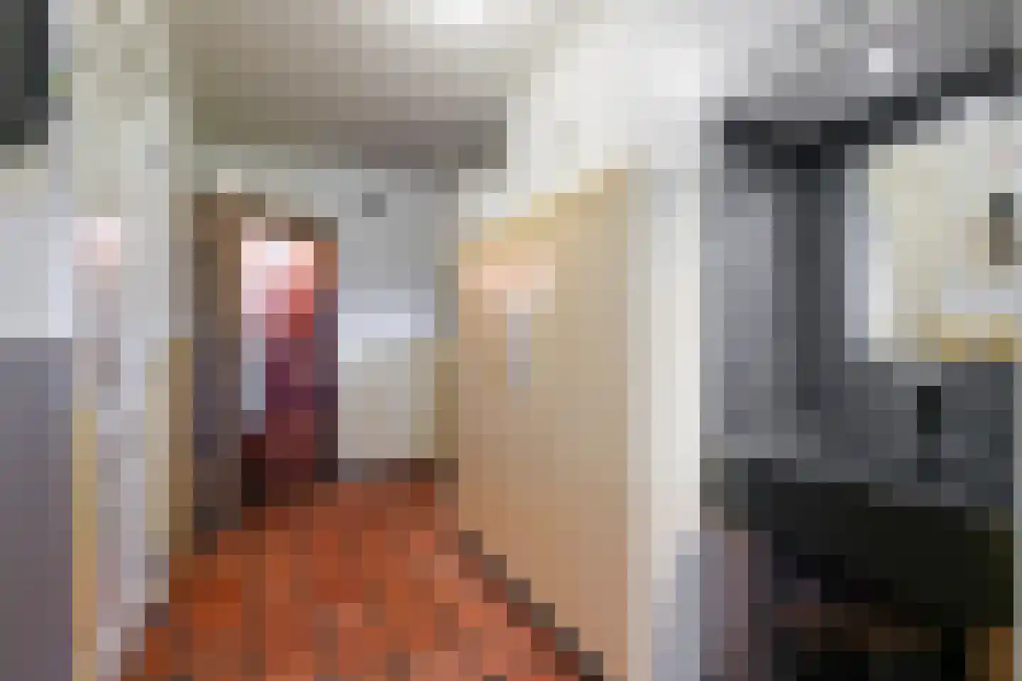 Notel 60 Oirschot thumbnail 25