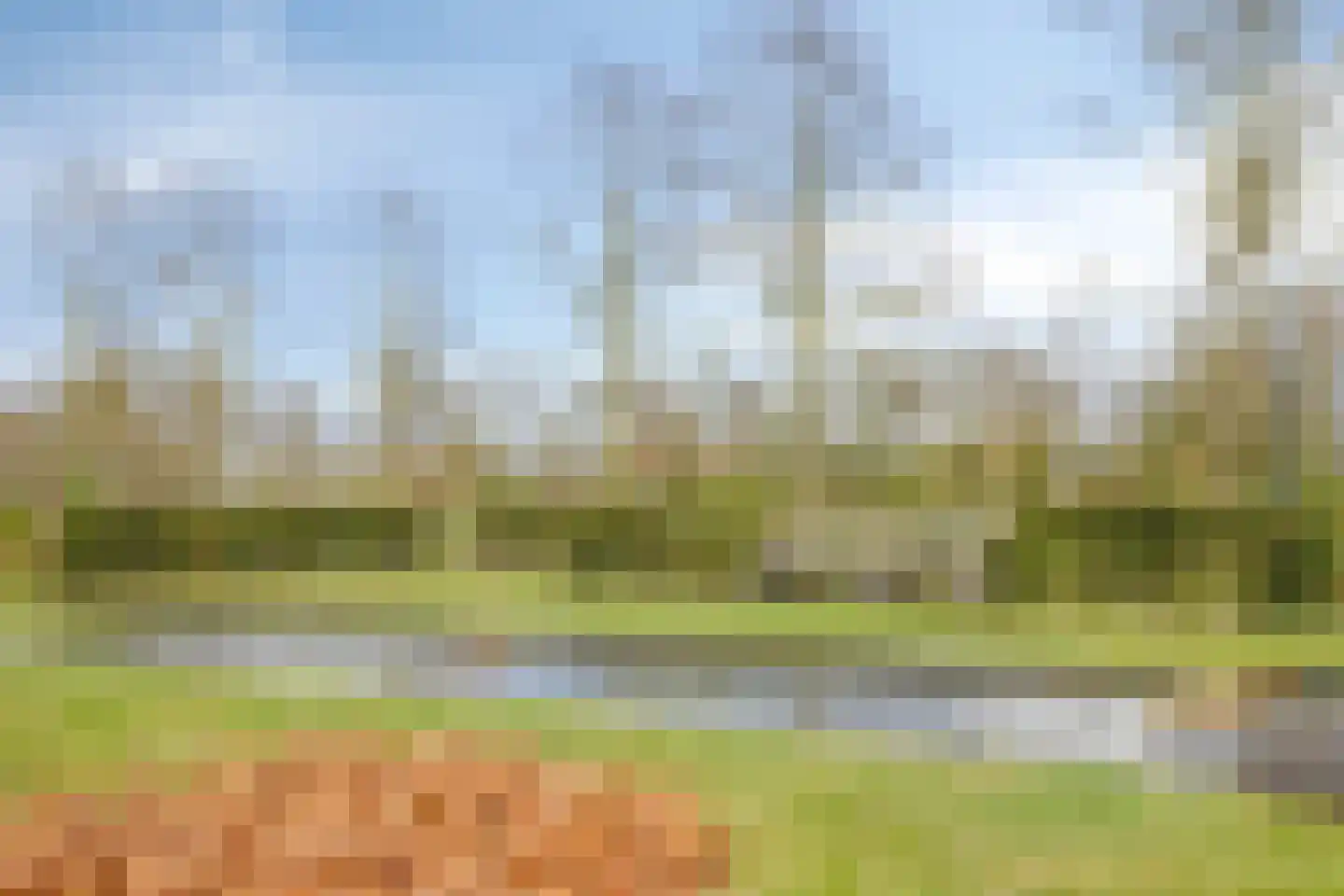 Notel 60 Oirschot thumbnail 60