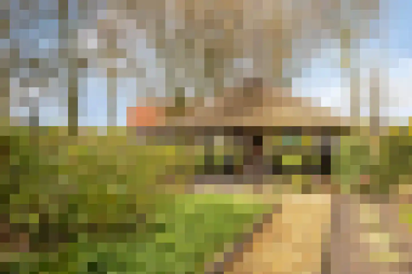 Notel 60 Oirschot thumbnail 64