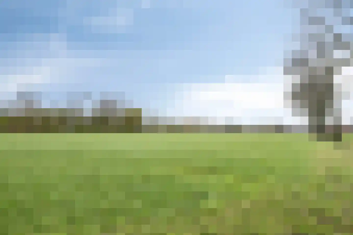 Notel 60 Oirschot thumbnail 65
