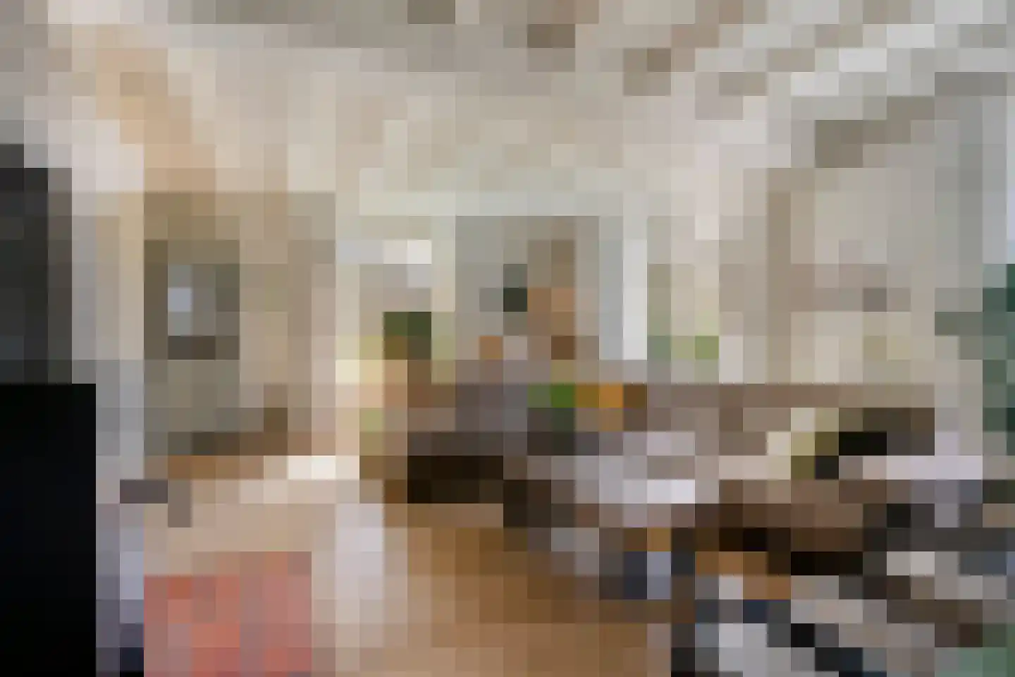 Notel 60 Oirschot thumbnail 9
