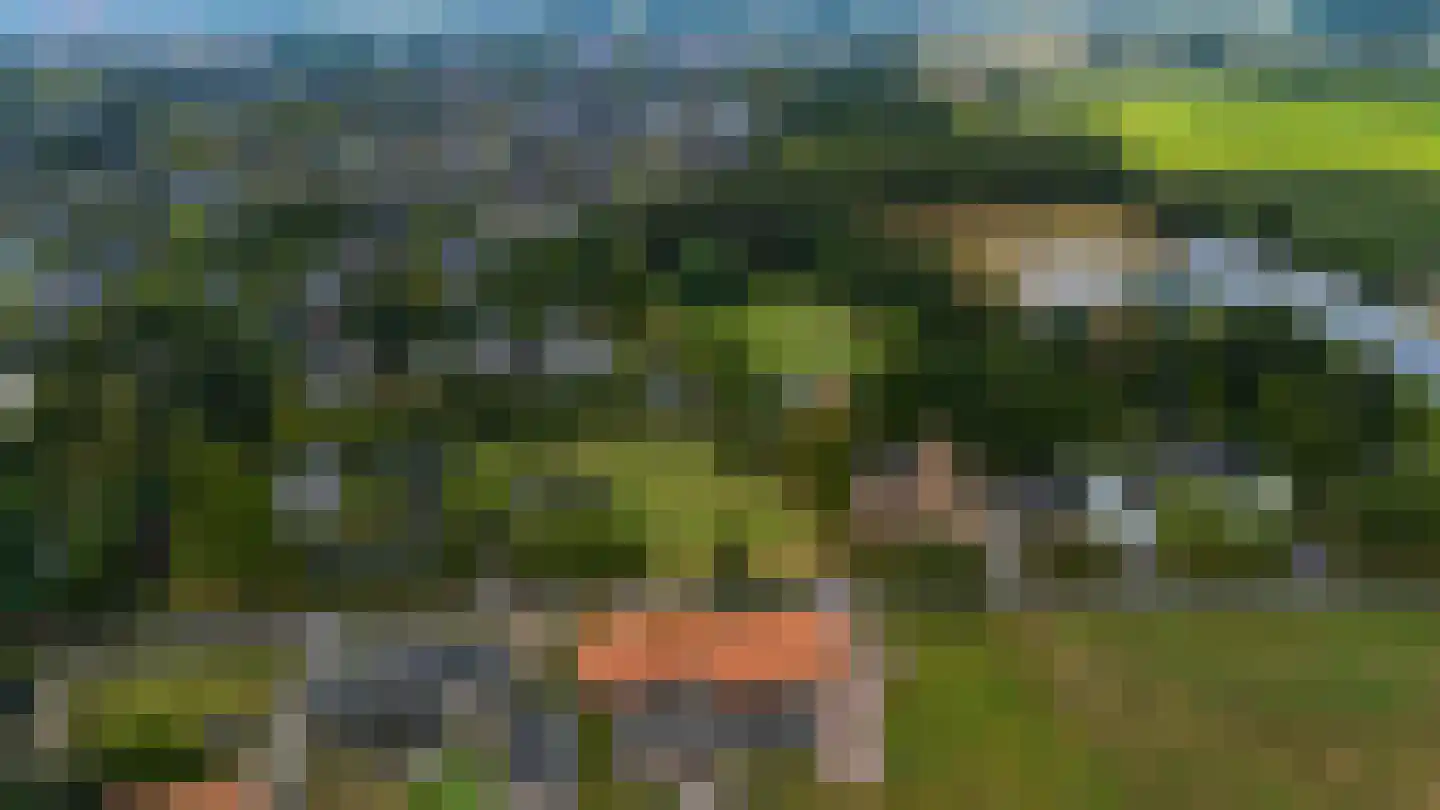 Notel Oirschot thumbnail 11