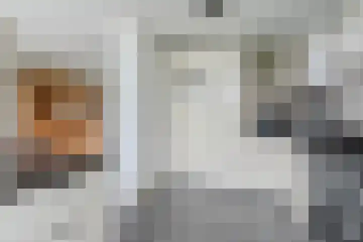 Notelaar 6 Geldrop thumbnail 21