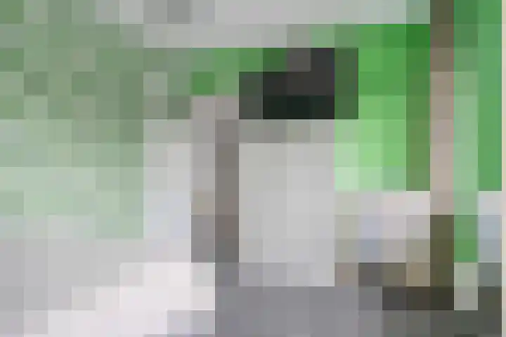 Notelaar 6 Geldrop thumbnail 30