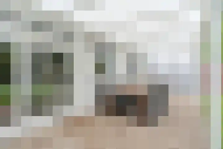 Notelaar 6 Geldrop thumbnail 38