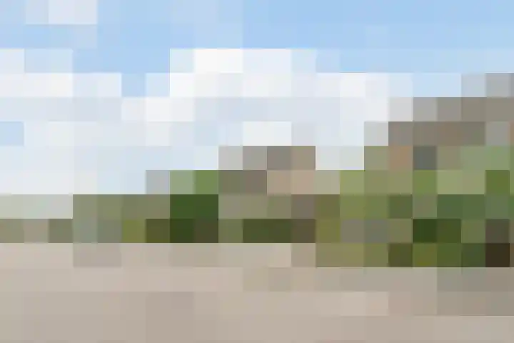 Notelaar 6 Geldrop thumbnail 41
