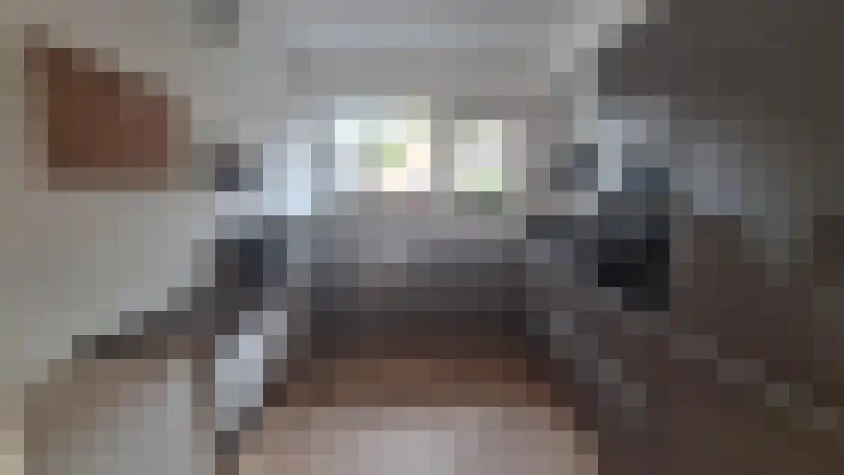 Noten-bogerd 44 Hendrik-Ido-Ambacht thumbnail 5
