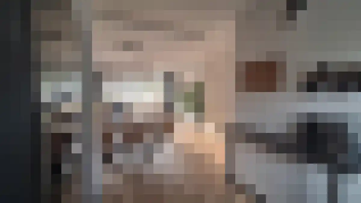 Noten-bogerd 44 Hendrik-Ido-Ambacht thumbnail 6