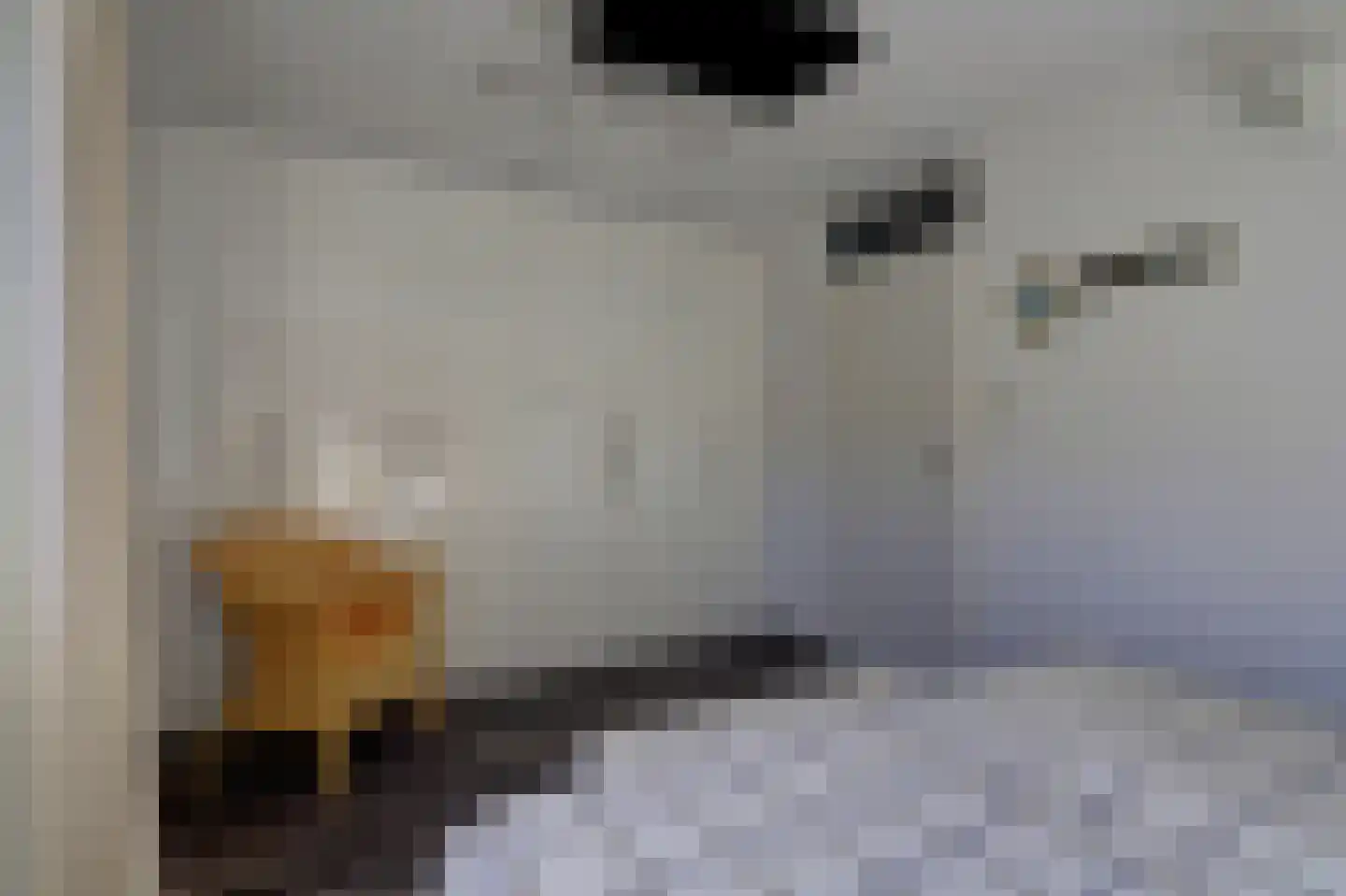 Noten-bogerd 46 Hendrik-Ido-Ambacht thumbnail 19