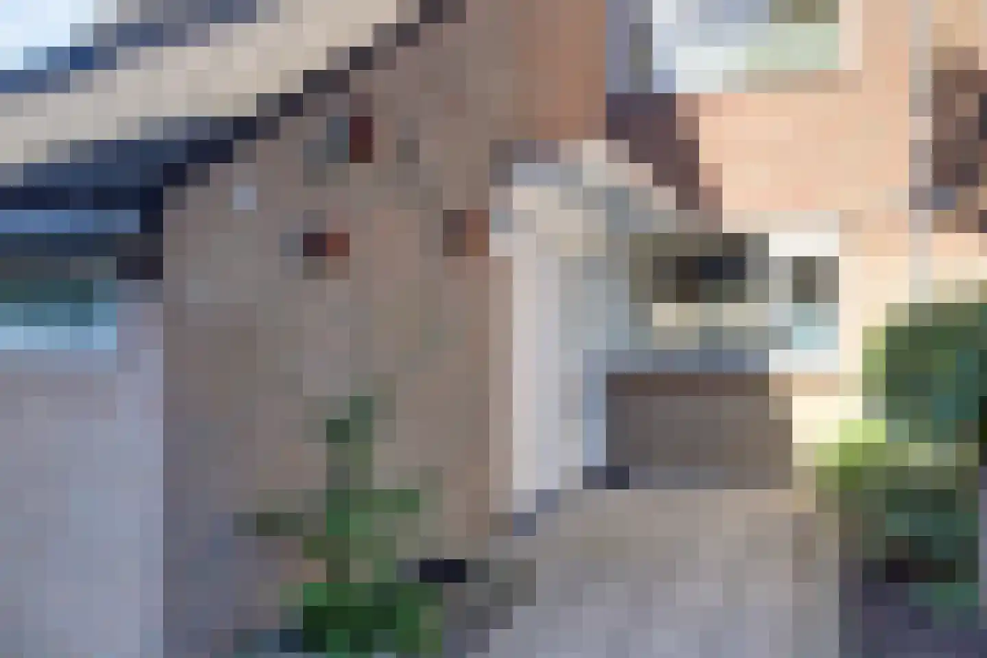 Noten-bogerd 46 Hendrik-Ido-Ambacht thumbnail 5