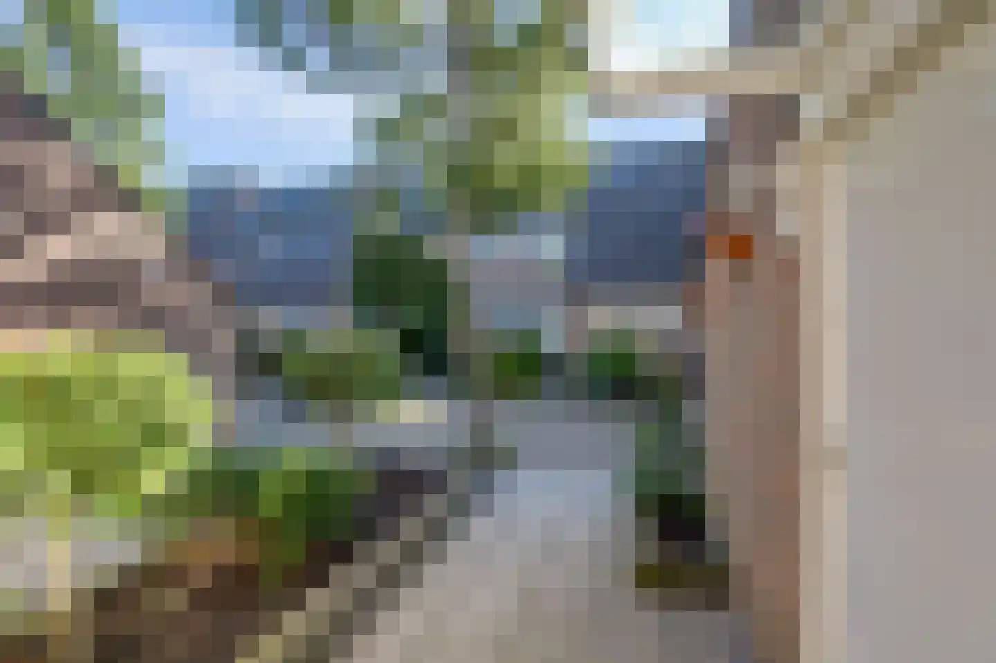 Noten-bogerd 46 Hendrik-Ido-Ambacht thumbnail 6