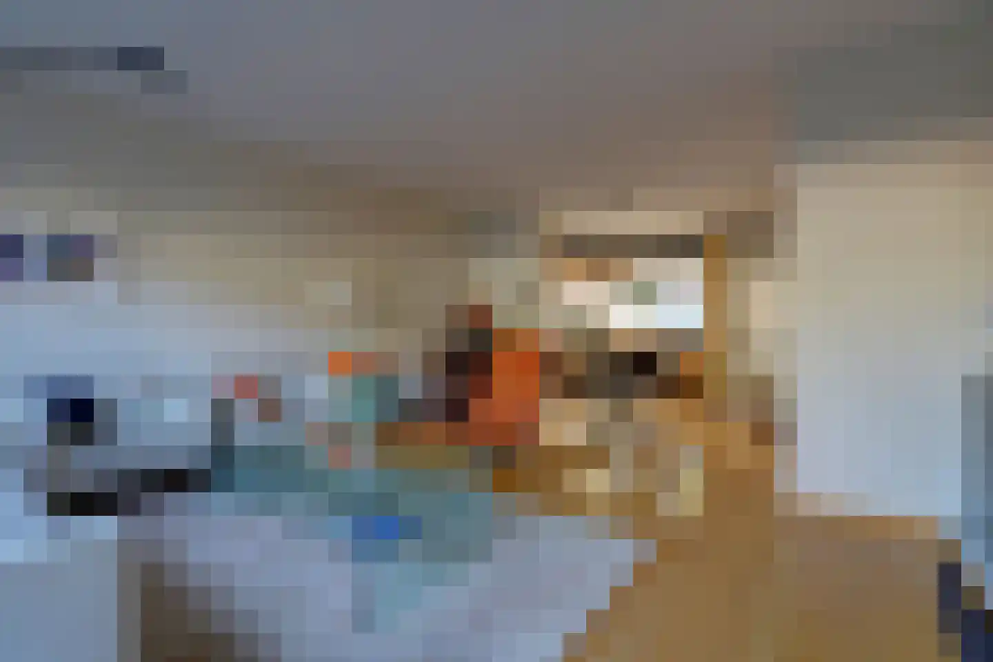Noten-bogerd 46 Hendrik-Ido-Ambacht thumbnail 8
