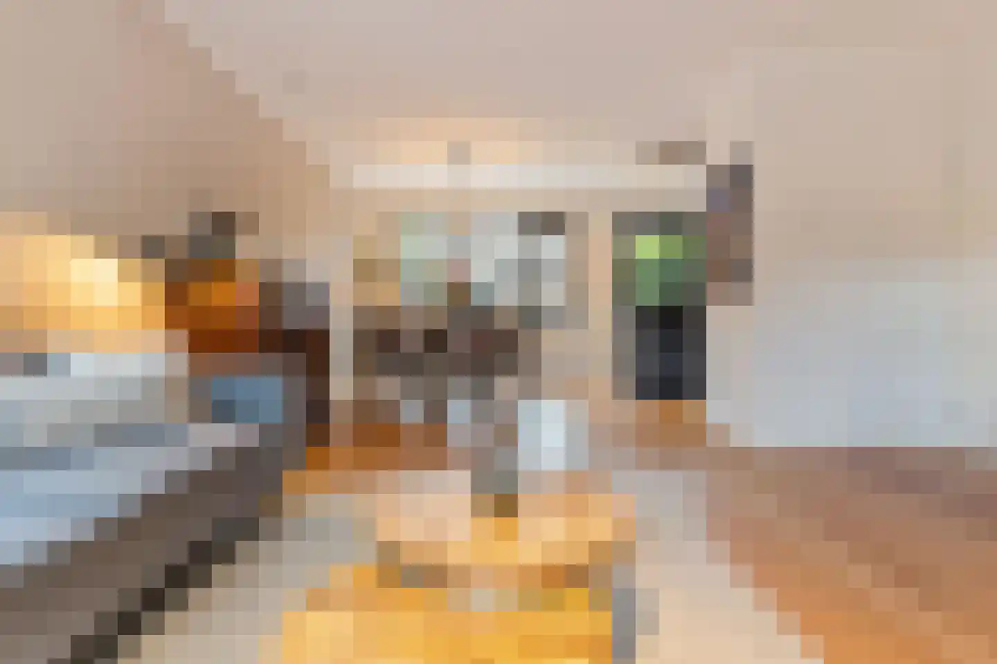 Noten-bogerd 57 Hendrik-Ido-Ambacht thumbnail 10