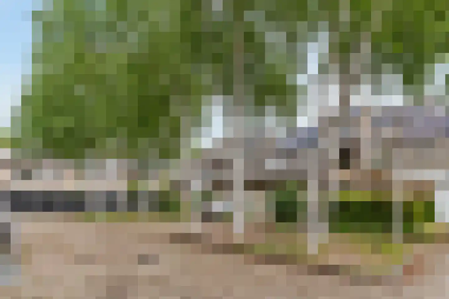 Noten-bogerd 57 Hendrik-Ido-Ambacht thumbnail 43