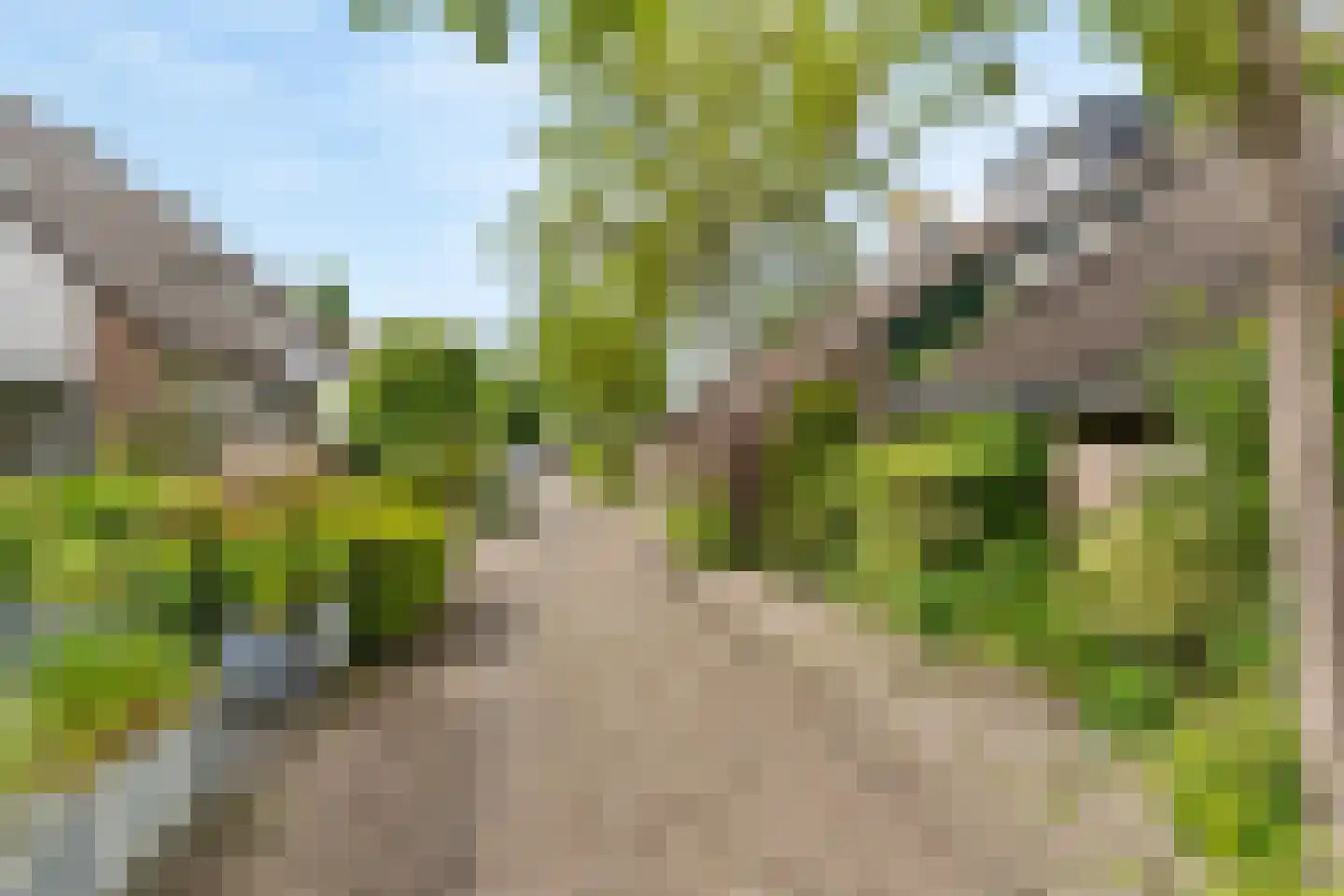Noten-bogerd 57 Hendrik-Ido-Ambacht thumbnail 44