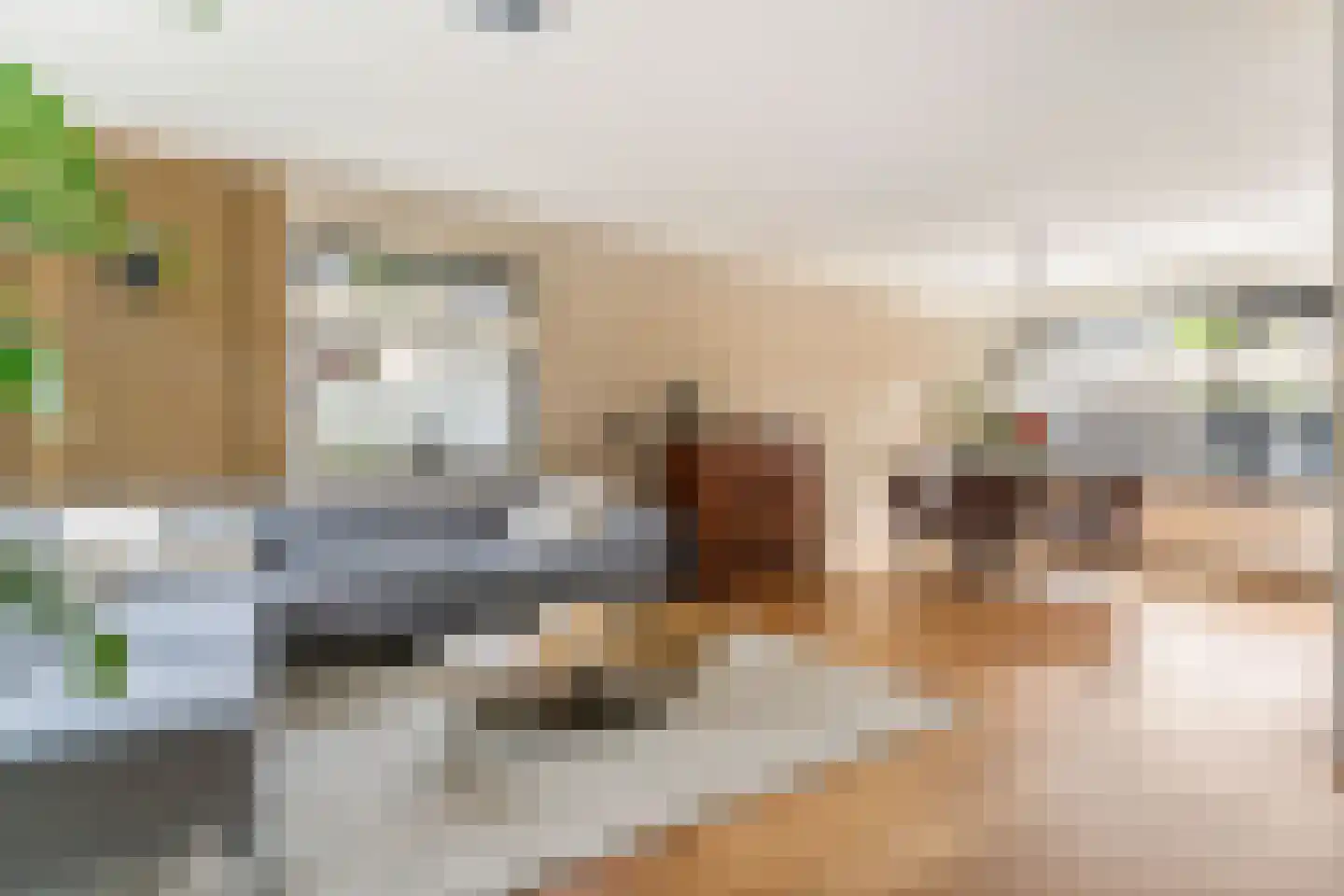 Noten-bogerd 57 Hendrik-Ido-Ambacht thumbnail 8