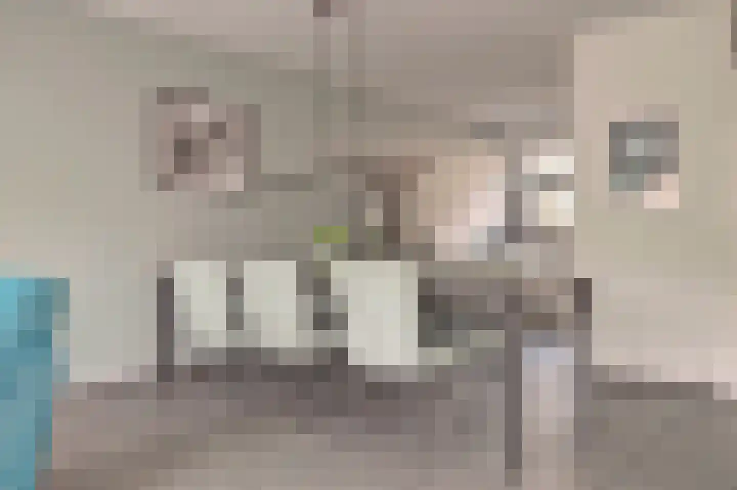 Notenakker 5 Cothen thumbnail 10