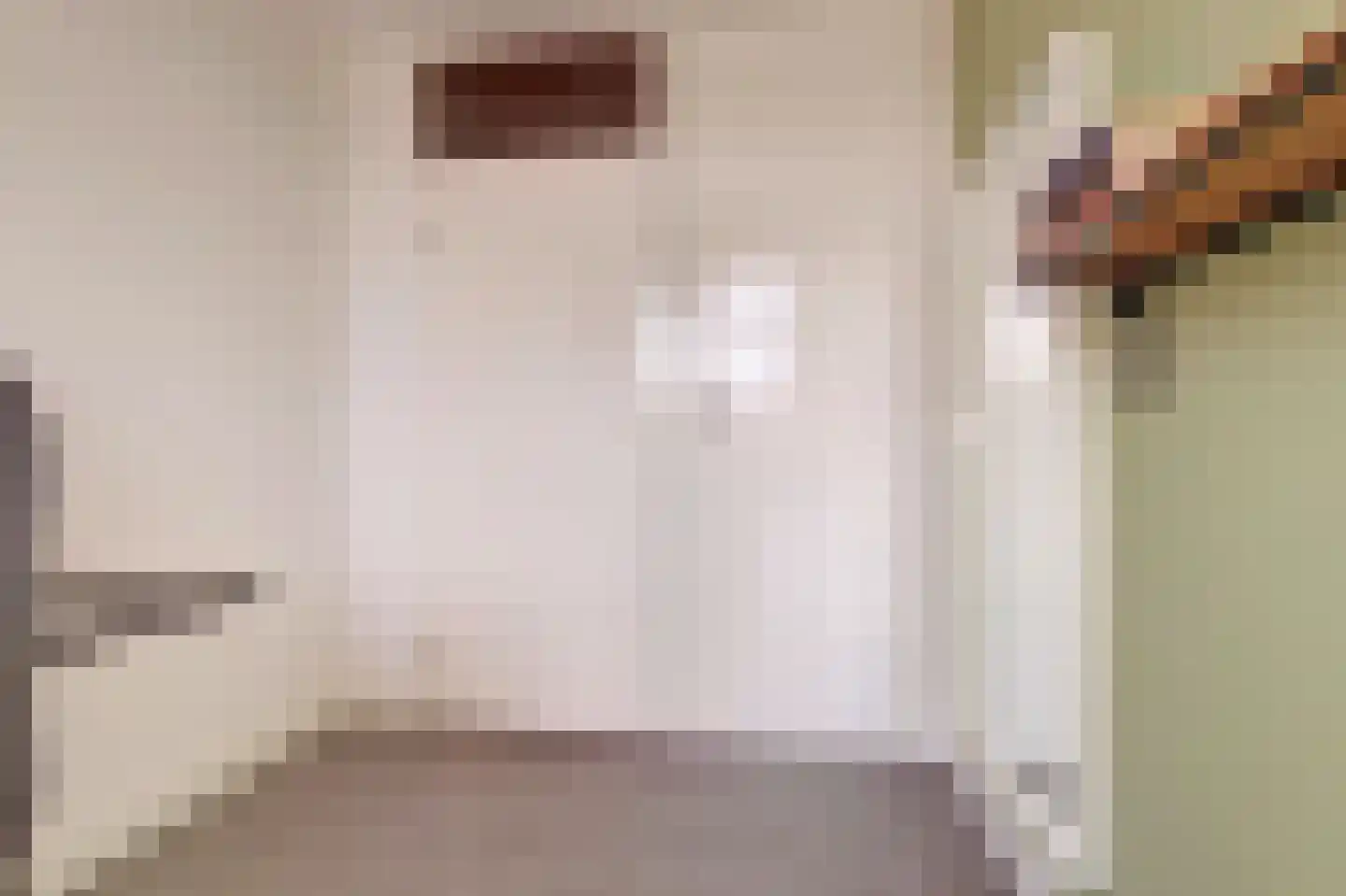 Notenakker 5 Cothen thumbnail 25