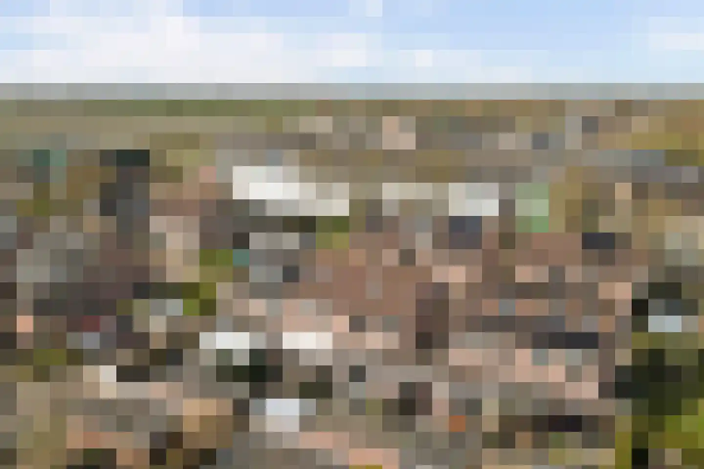 Notenakker 5 Cothen thumbnail 41