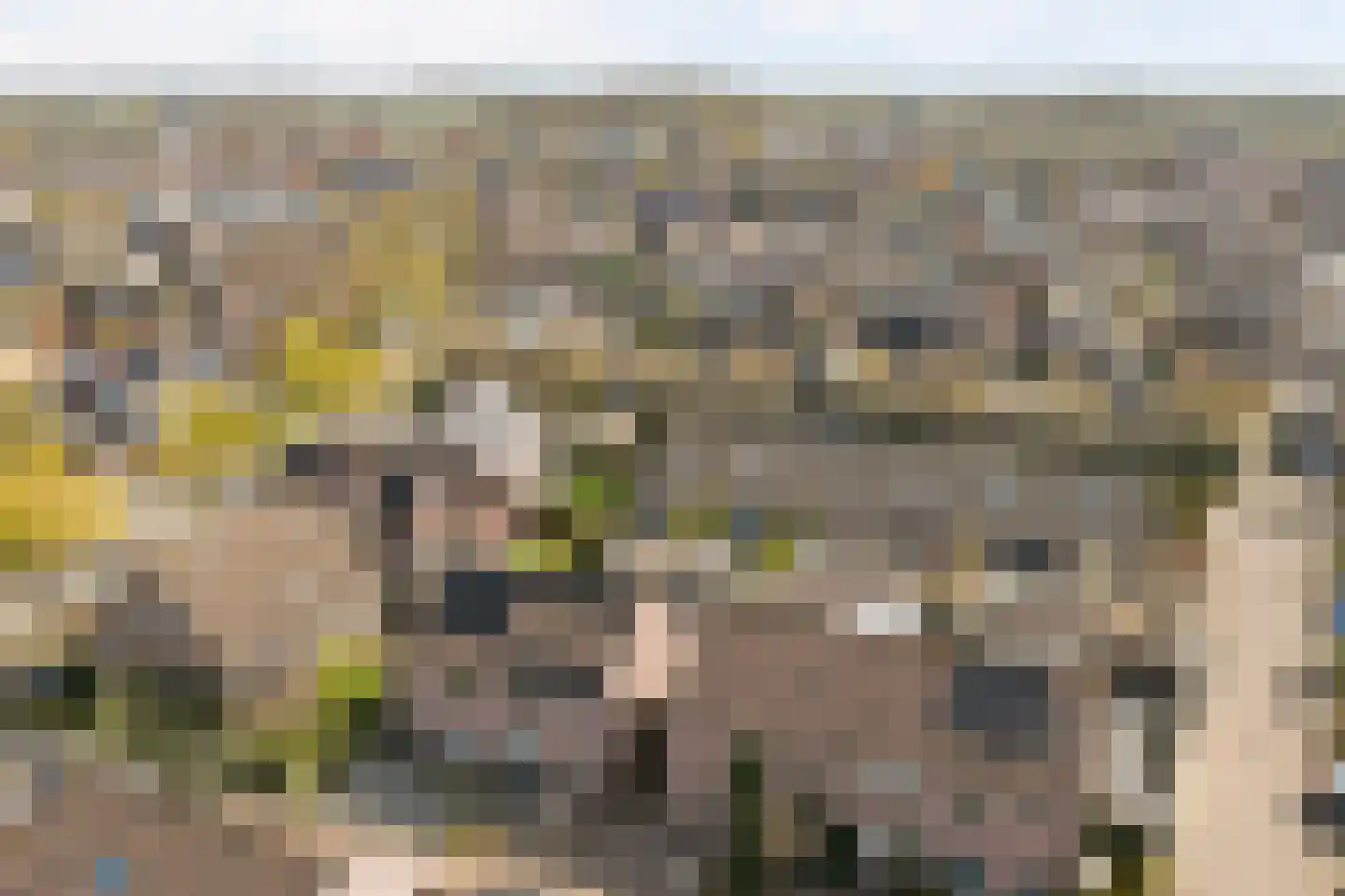 Notenakker 5 Cothen thumbnail 43