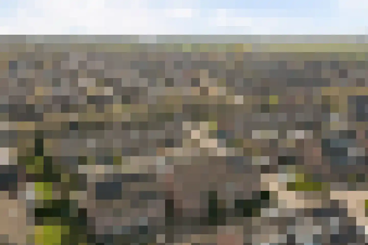 Notenakker 5 Cothen thumbnail 44