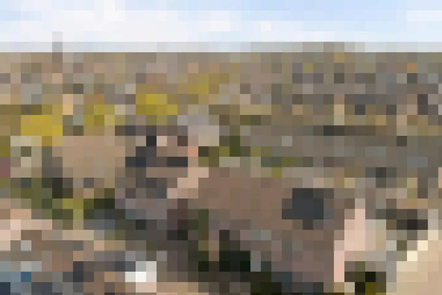 Notenakker 5 Cothen thumbnail 45