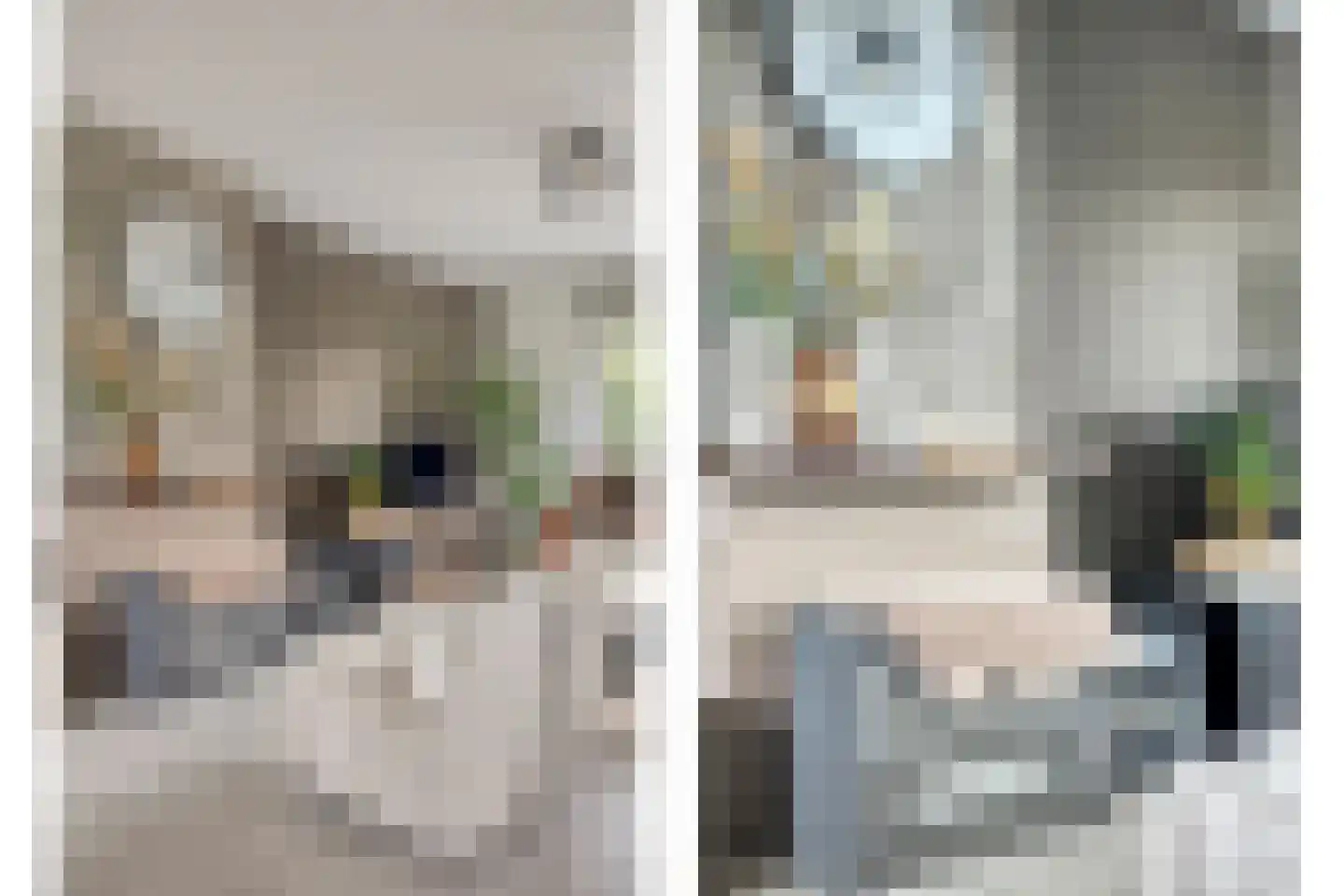 Notenboomlaan 18 Roermond thumbnail 13