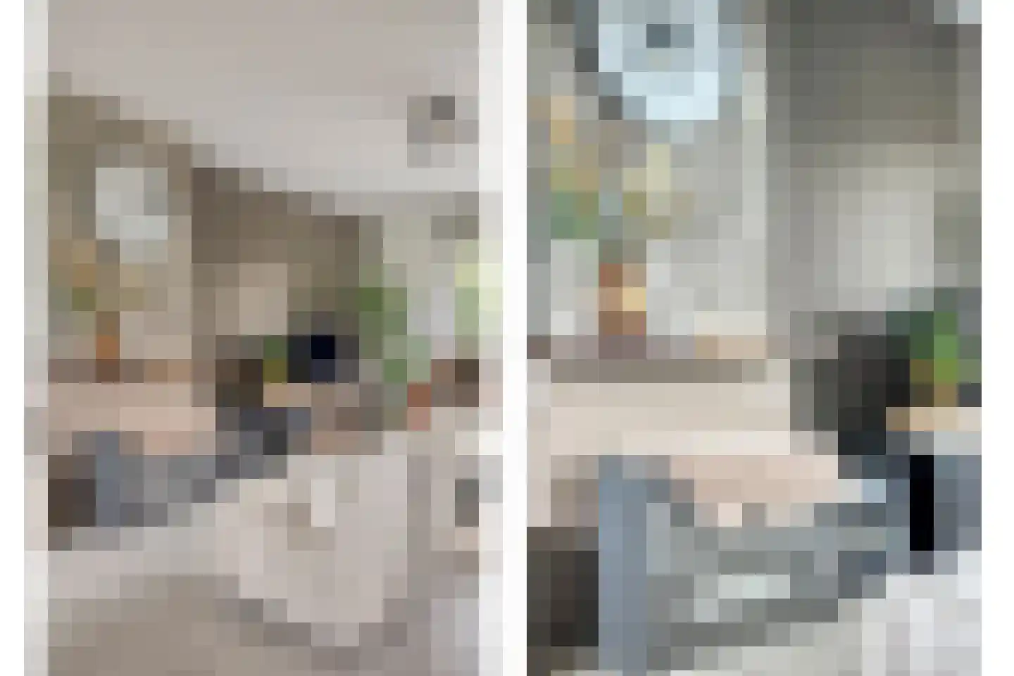 Notenboomlaan 18 Roermond thumbnail 14