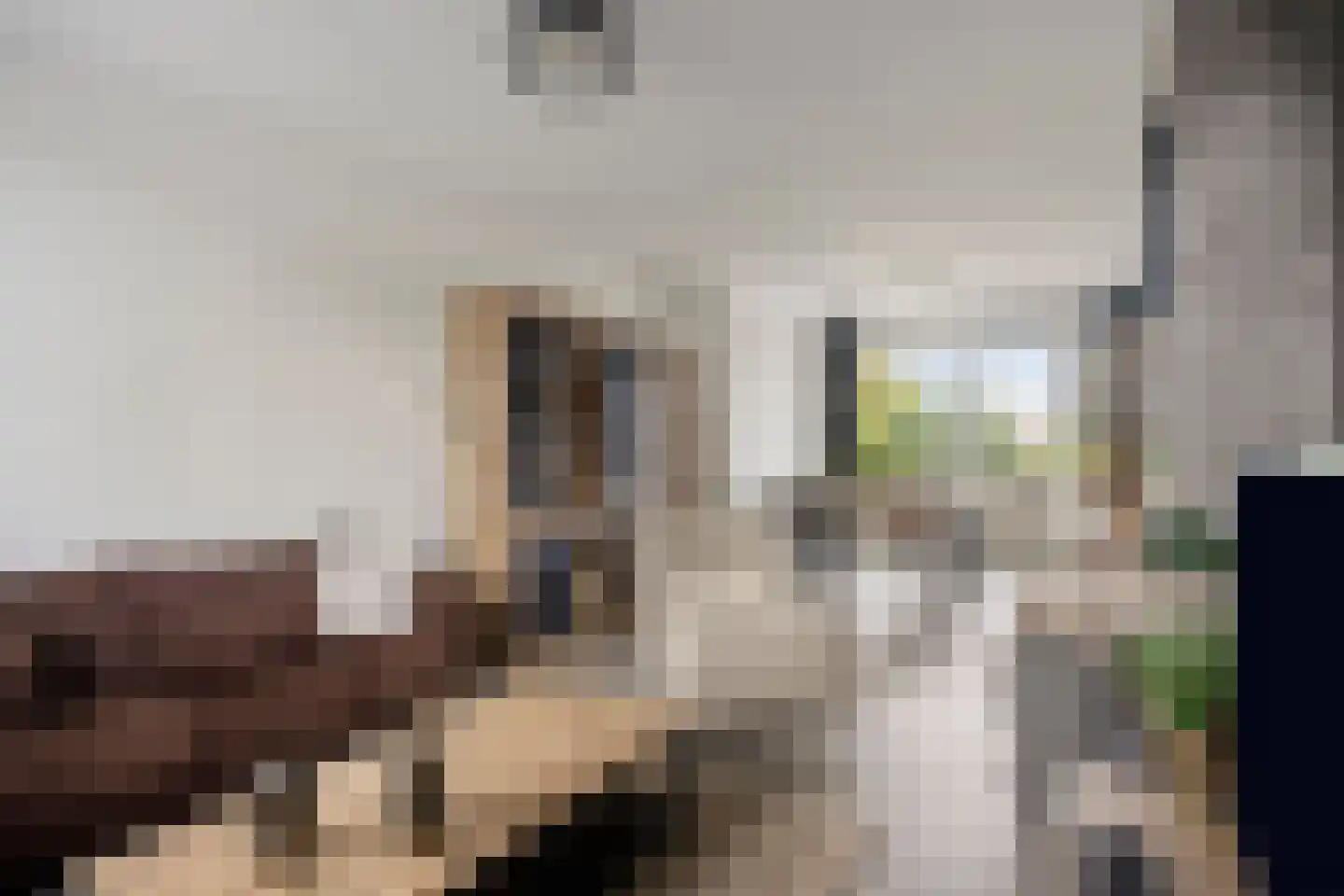 Notenboomlaan 18 Roermond thumbnail 16