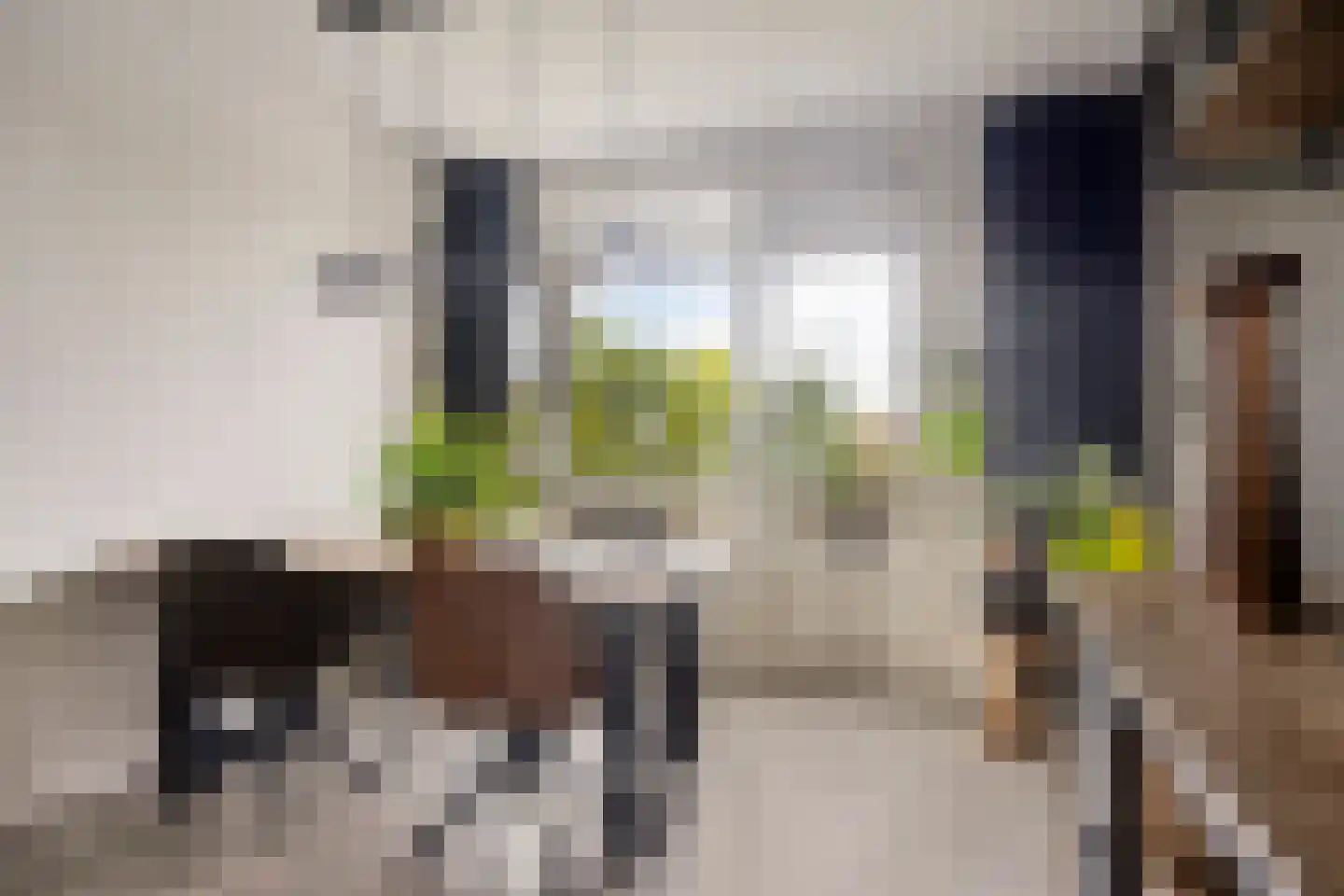Notenboomlaan 18 Roermond thumbnail 17