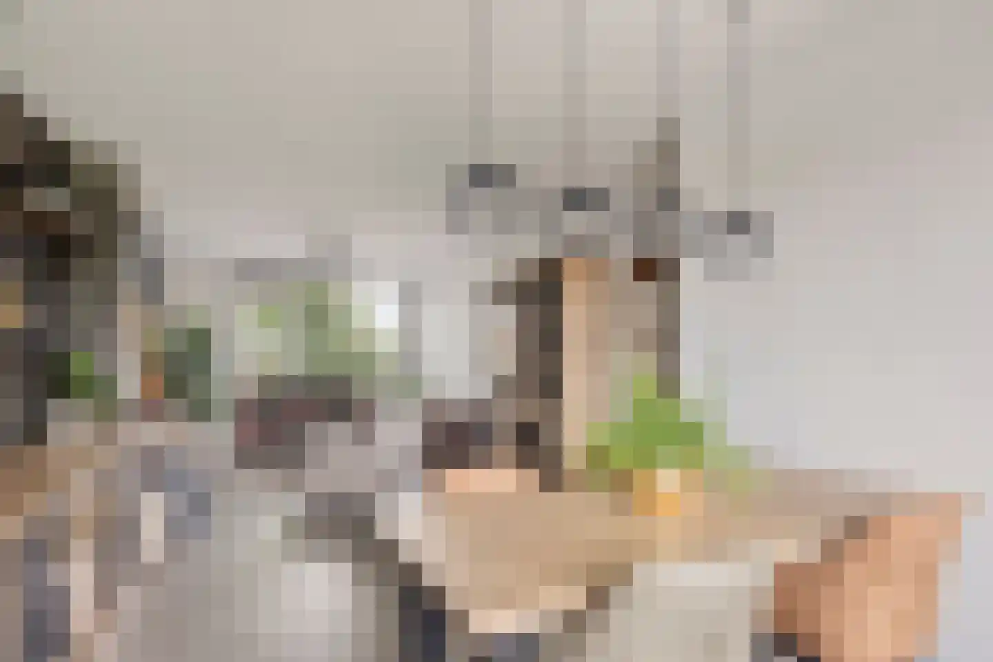 Notenboomlaan 18 Roermond thumbnail 20