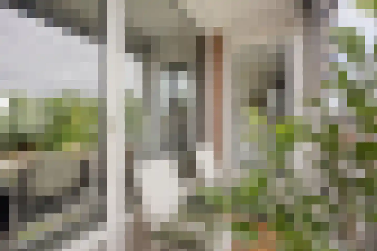 Notenboomlaan 18 Roermond thumbnail 22