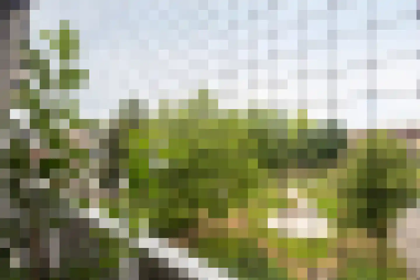 Notenboomlaan 18 Roermond thumbnail 23