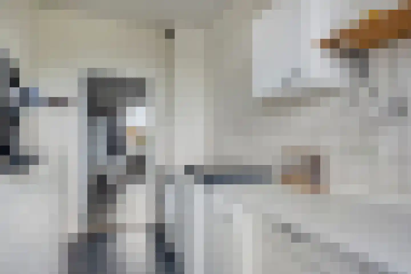 Notenboomlaan 18 Roermond thumbnail 25