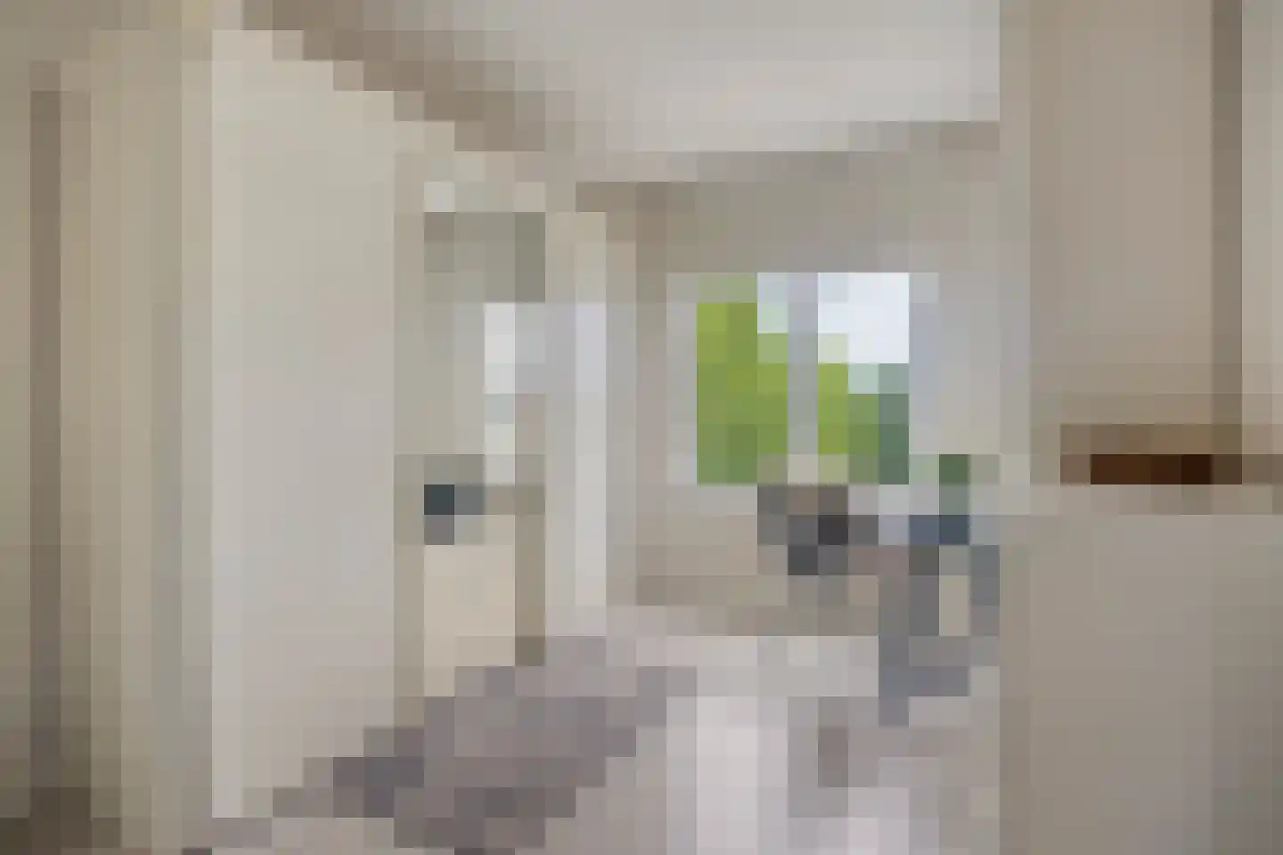 Notenboomlaan 18 Roermond thumbnail 30
