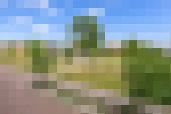 Notenboomplein 48 IJmuiden thumbnail 40
