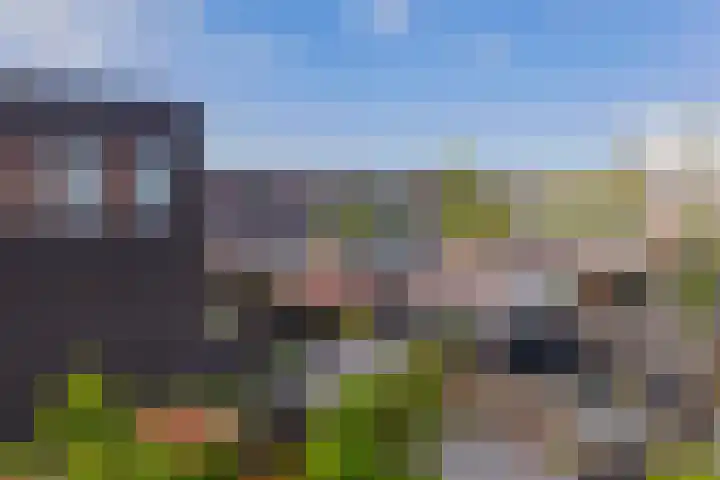 Notenboomplein 48 IJmuiden thumbnail 47