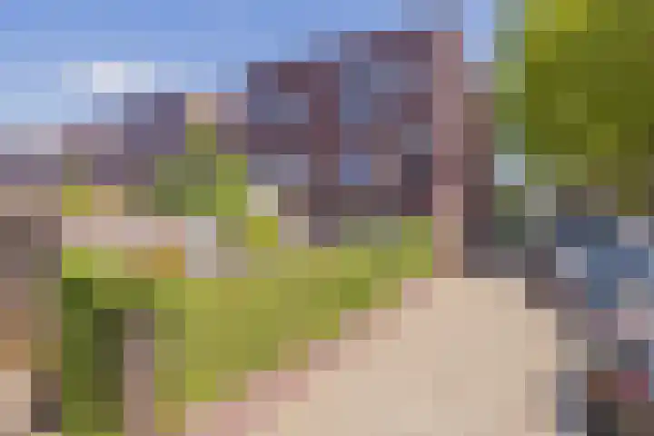 Notenboomplein 48 IJmuiden thumbnail 54