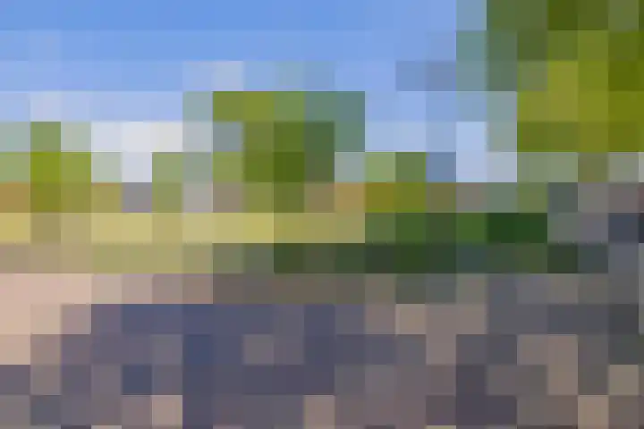 Notenboomplein 48 IJmuiden thumbnail 55